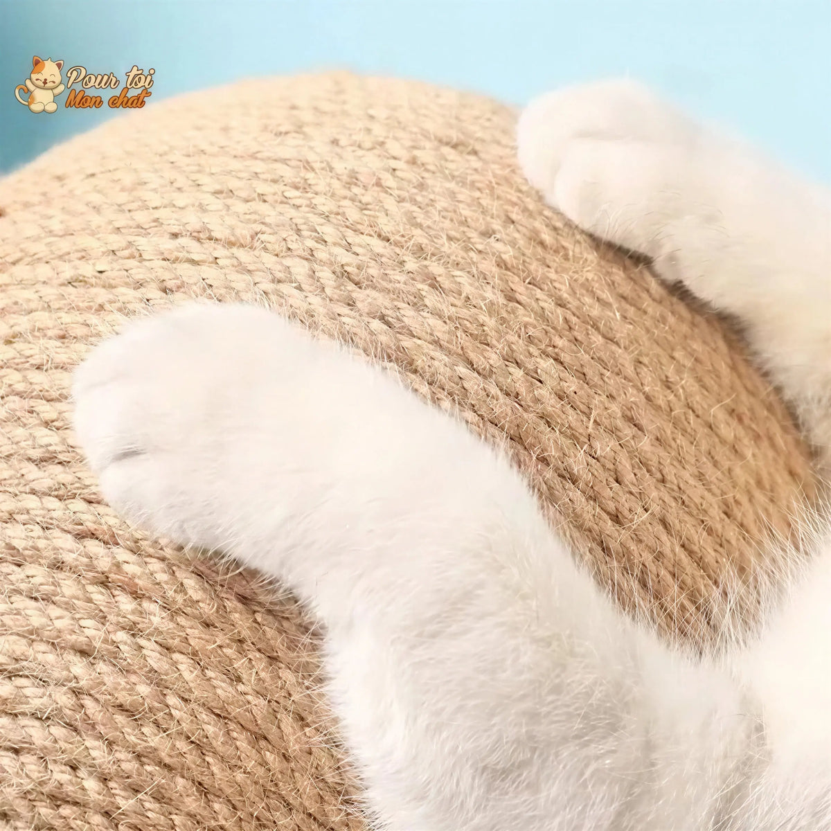 Griffoir brosse boule pour chat - Grif'Ball'Cat™ Pour toi Mon chat