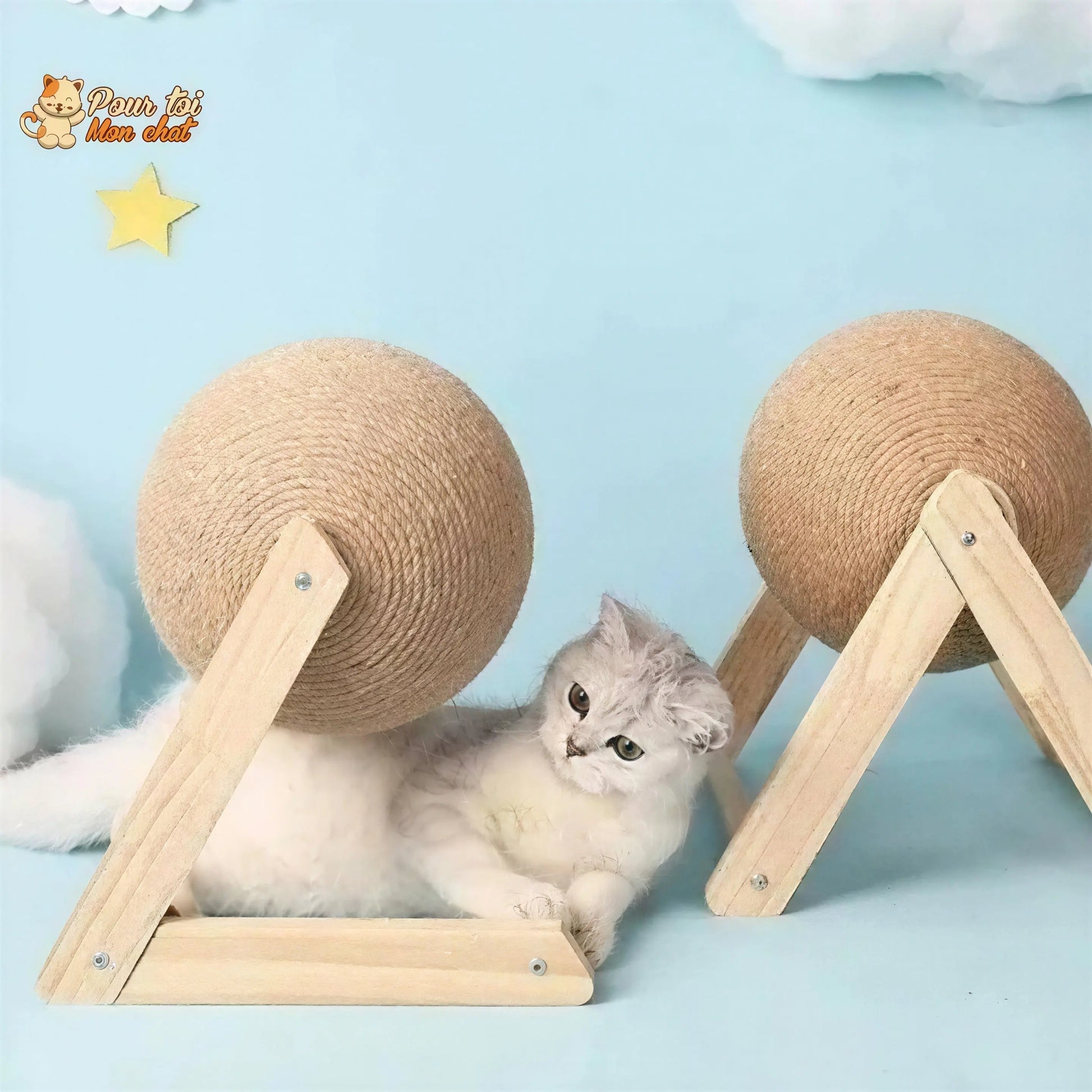 Griffoir brosse boule pour chat - Grif'Ball'Cat™ Pour toi Mon chat