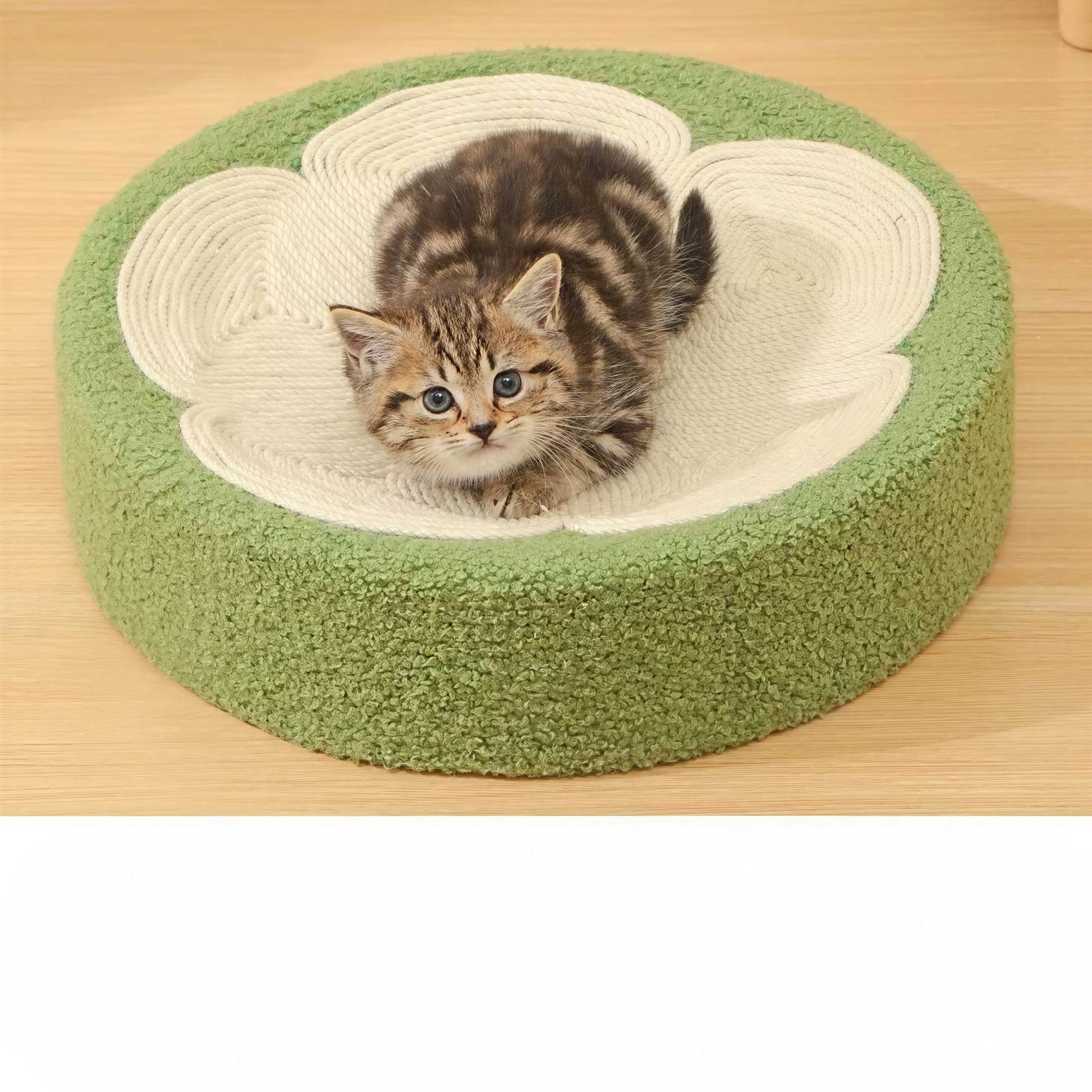 Griffoir lit anti-rayures 2 en 1 pour chat Pour toi Mon chat