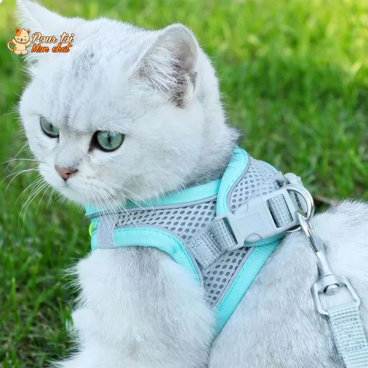 Ensemble de laisse et maille réglable pour chat Pour toi Mon chat
