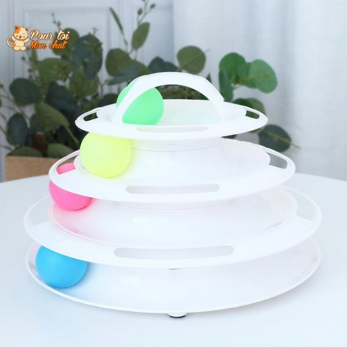 Jouet pour Chat avec Balles - Jeu2pistes™ Pour toi Mon chat