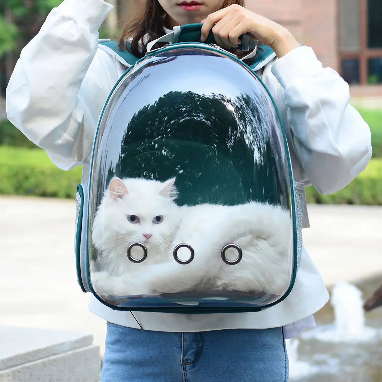 Sac à dos d'extérieur respirant pour chat Pour toi Mon chat