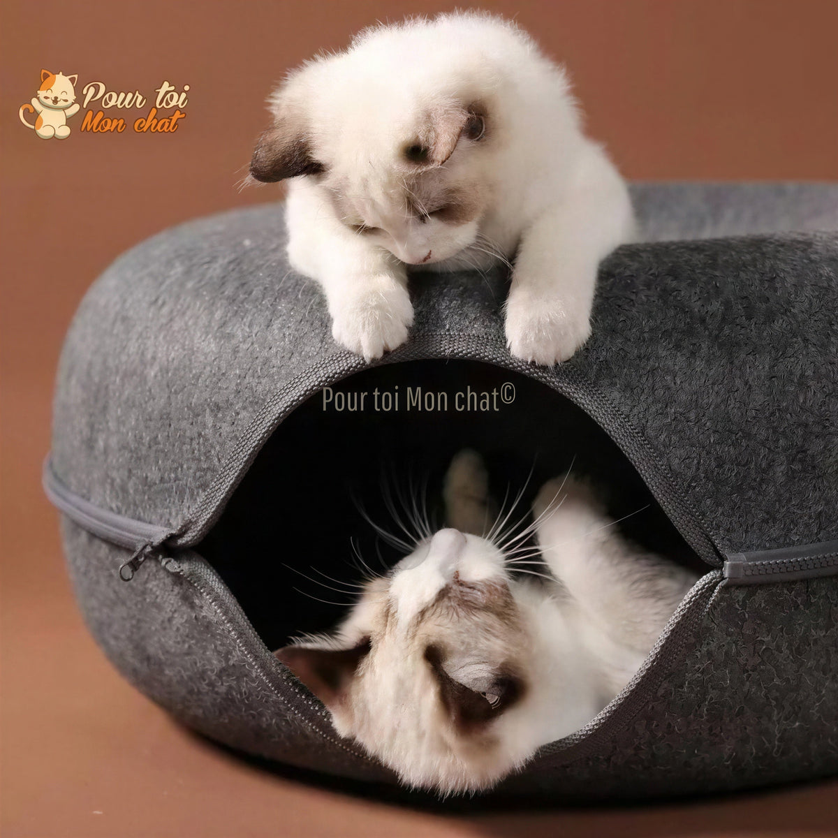 PANIER DE MAISON EN FEUTRE NATUREL POUR CHAT - DONUT4CAT™ Pour toi Mon chat