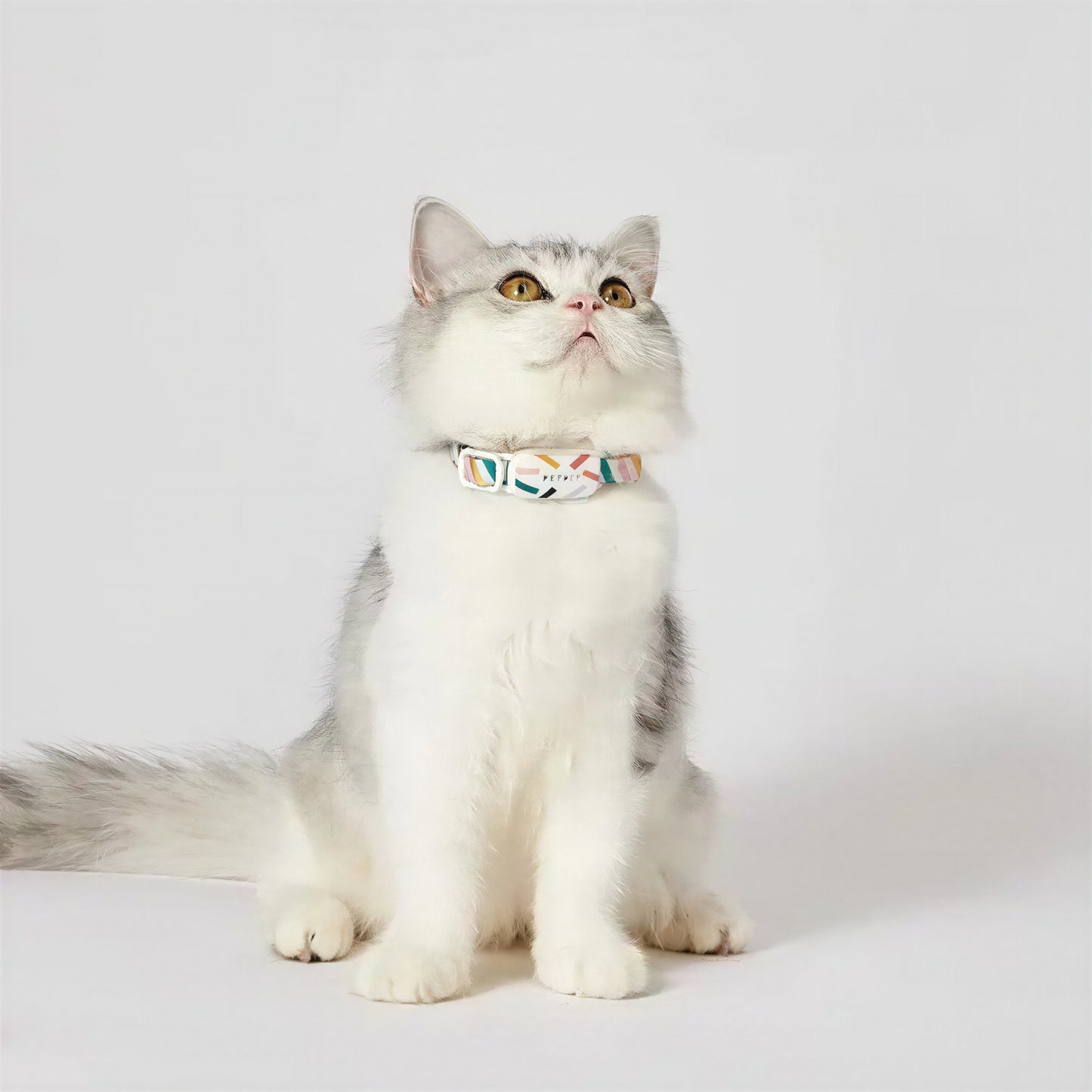 Collier GPS Chat Bluetooth et Réglable en Nylon - vue 2