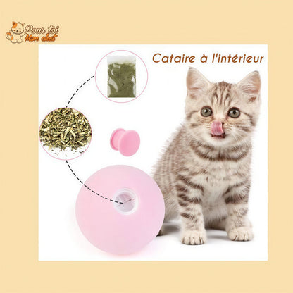 Balle avec des sons d'animaux - Music'Balls™ Pour toi Mon chat