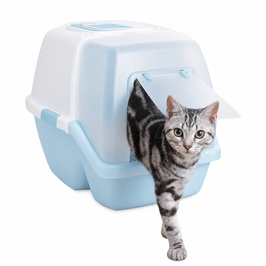 Lot de 6 filtres à charbon actif pour bac à litière pour chat Pour toi Mon chat