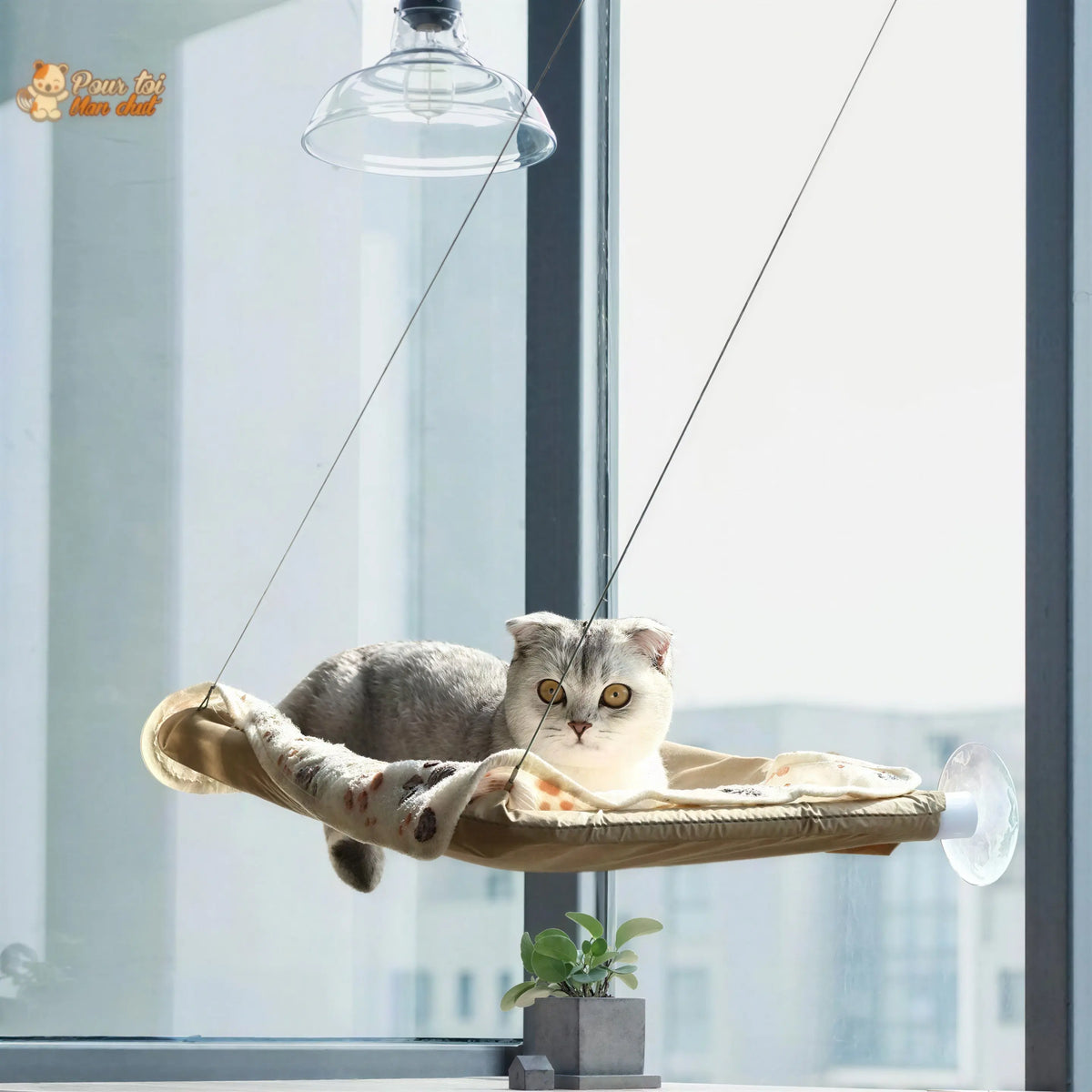 Hamac Suspendu pour Chat - Sun4cat™ Pour toi Mon chat