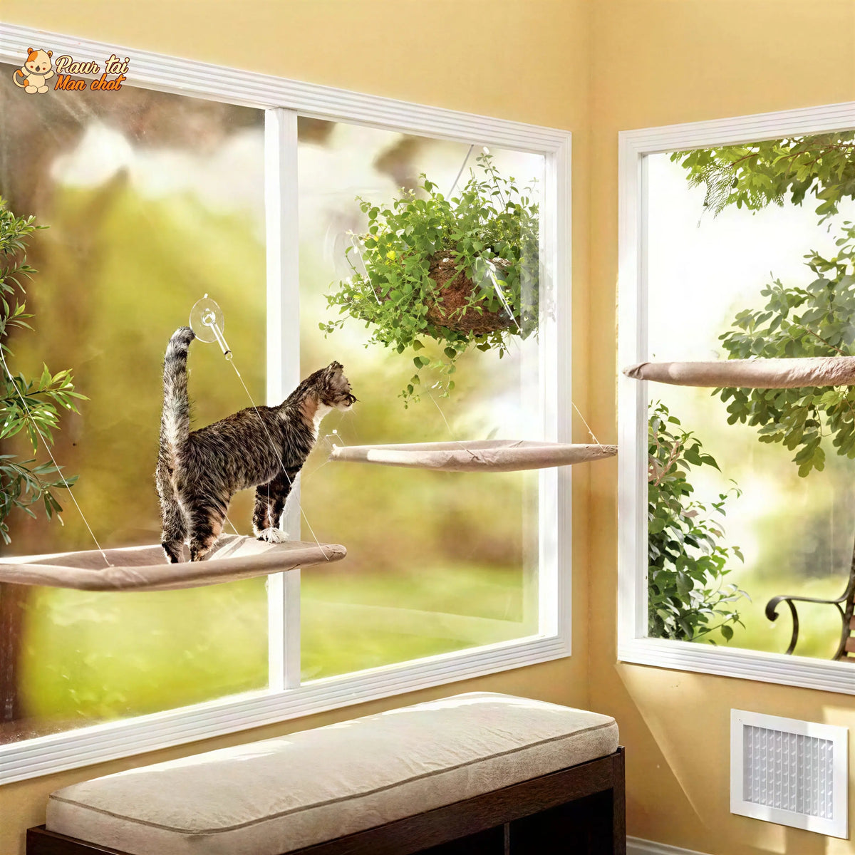 Hamac Suspendu pour Chat - Sun4cat™ Pour toi Mon chat