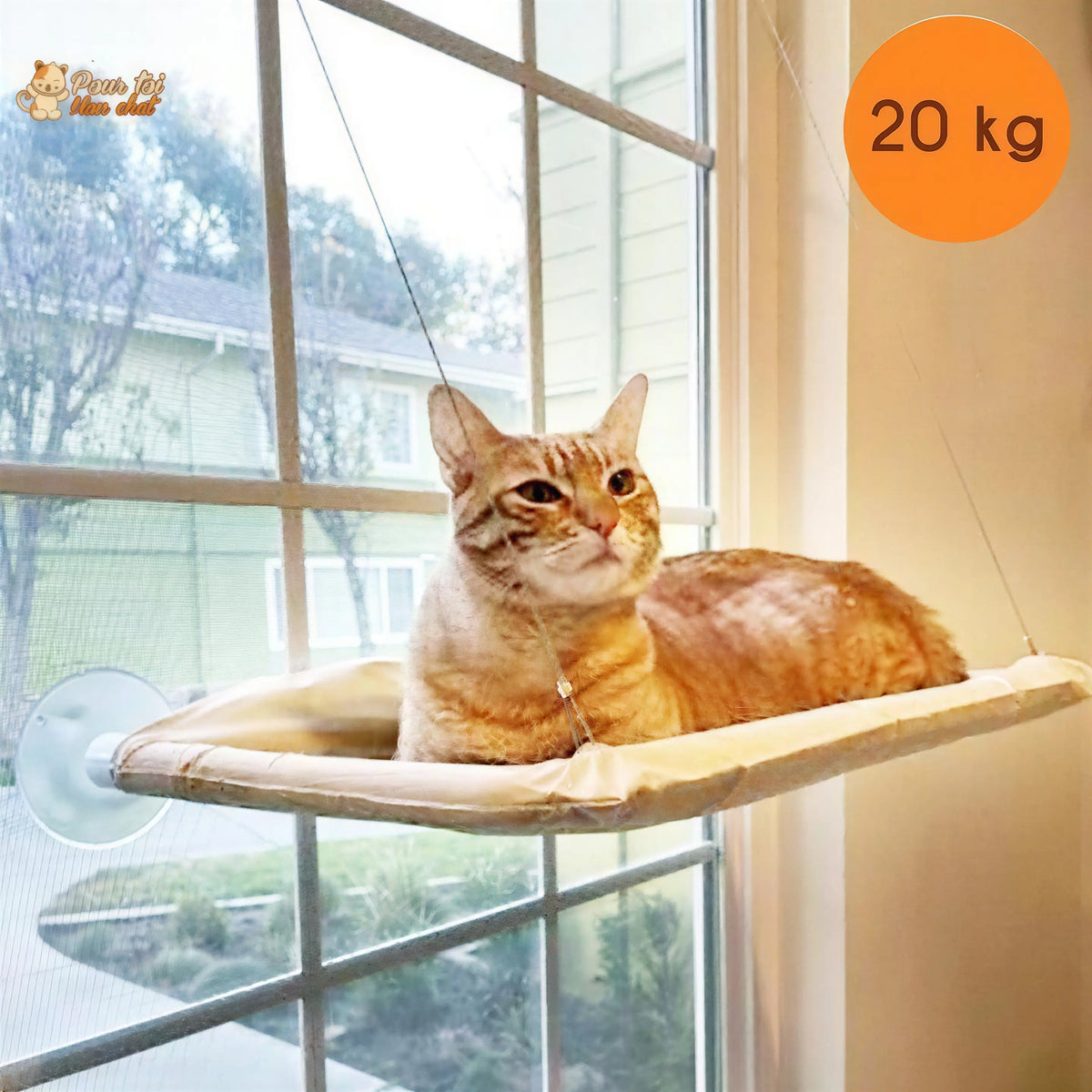Hamac Suspendu pour Chat - Sun4cat™ Pour toi Mon chat