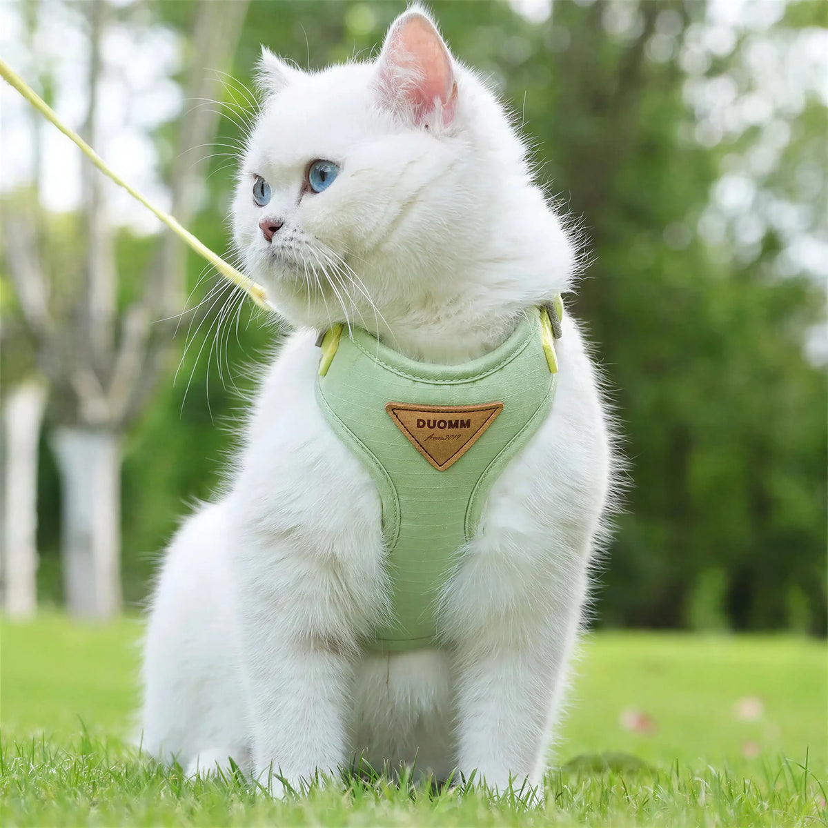 Harnais Chat Facile à Mettre Pour toi Mon chat