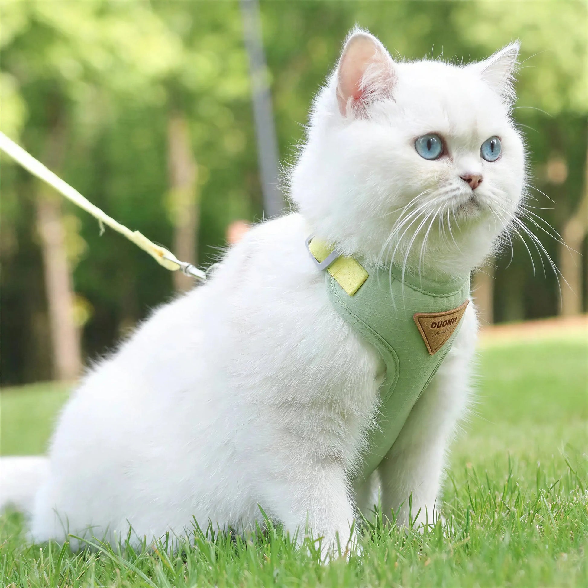 Harnais Chat Facile à Mettre Pour toi Mon chat