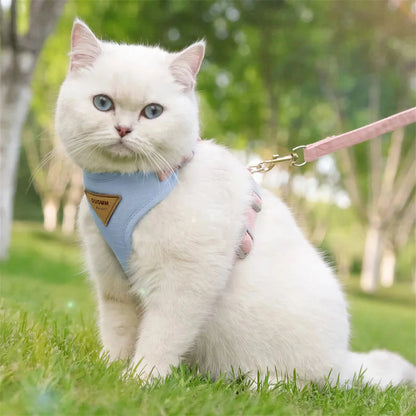 Harnais Chat Facile à Mettre Pour toi Mon chat