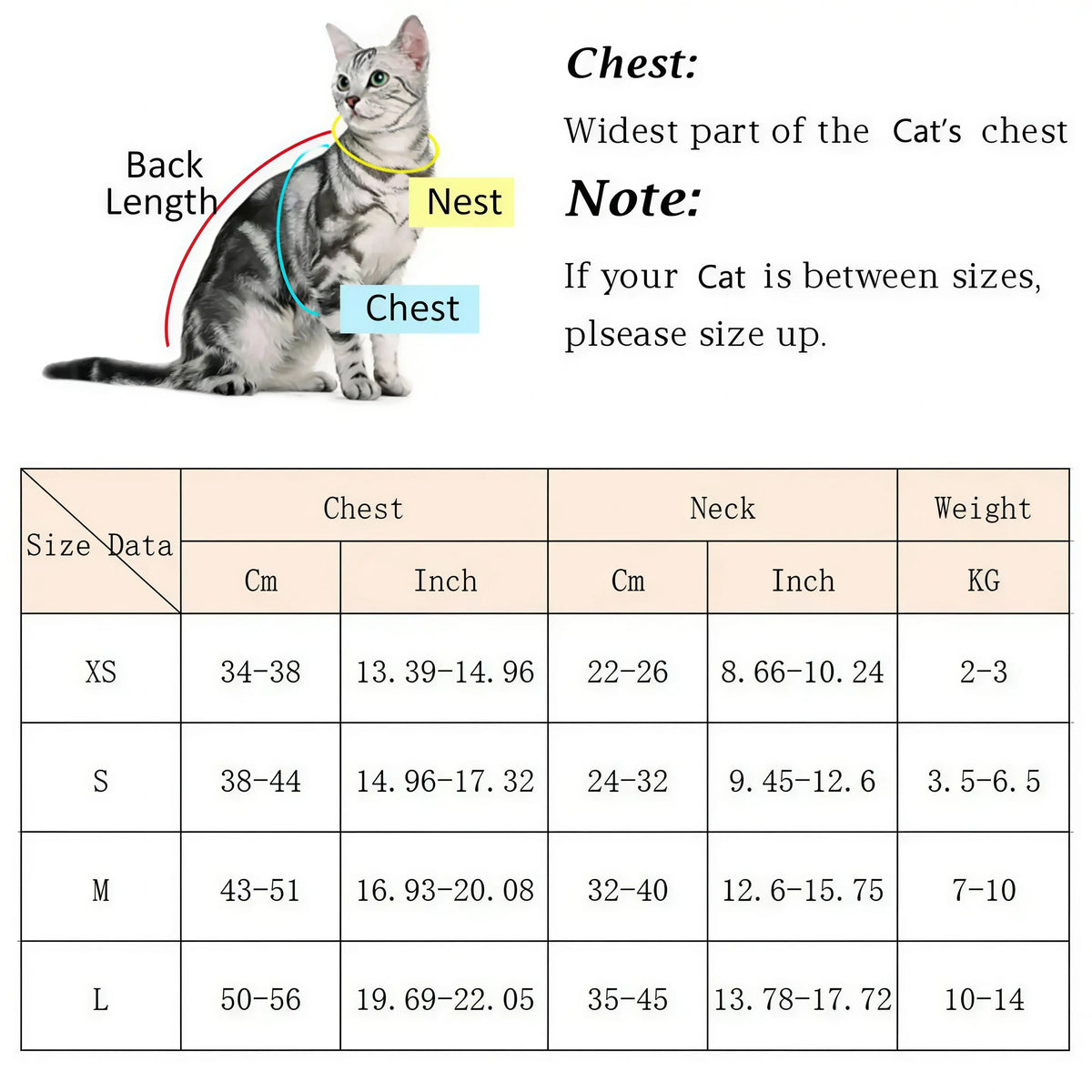 Harnais Chat Facile à Mettre Pour toi Mon chat
