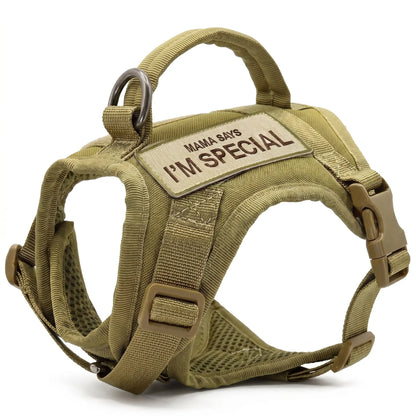 Harnais Chat Militaire Pour toi Mon chat
