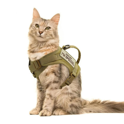 Harnais Chat Militaire Pour toi Mon chat