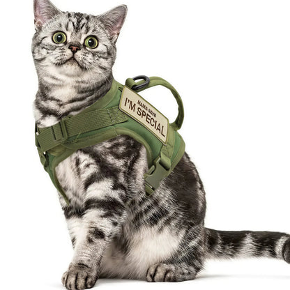 Harnais Chat Militaire Pour toi Mon chat