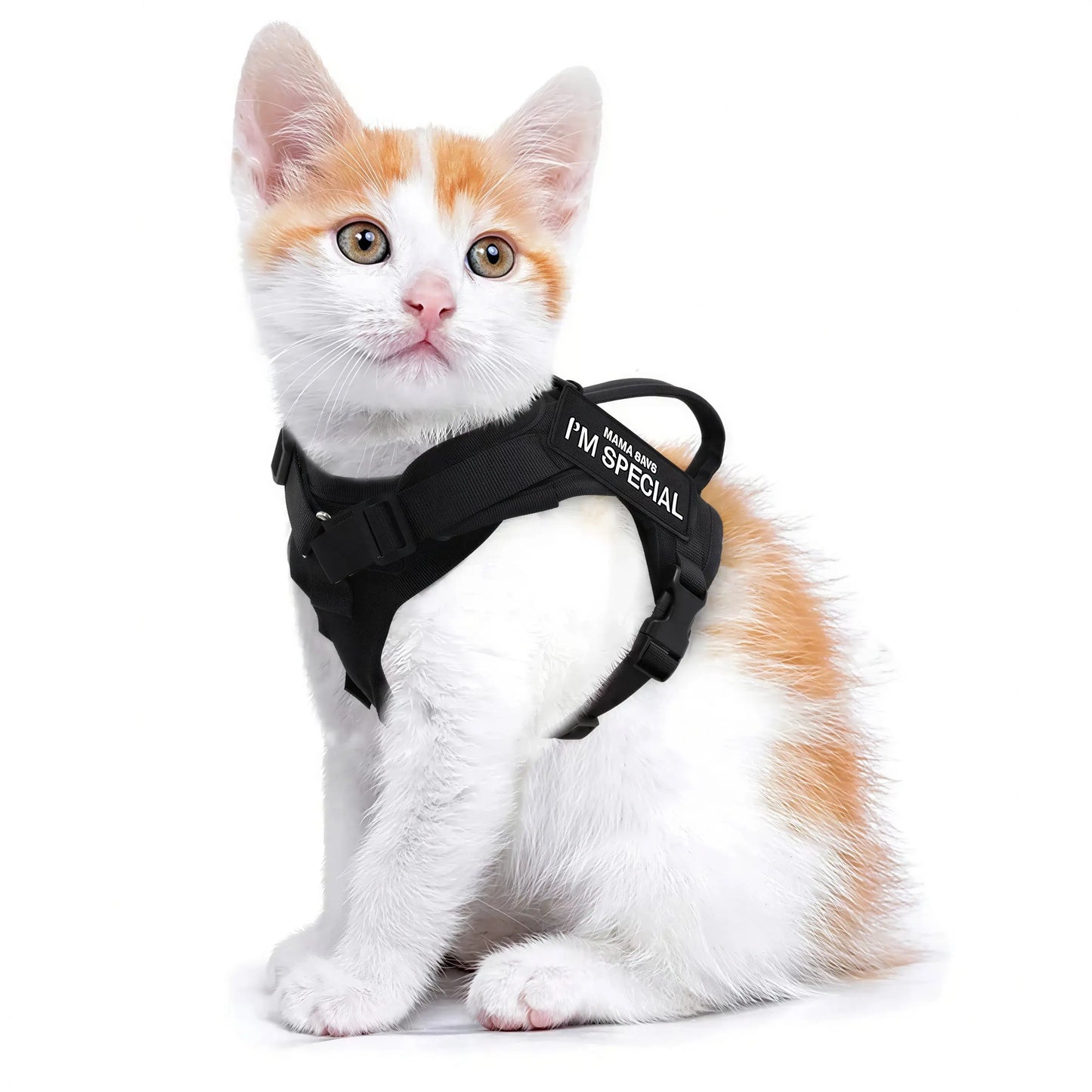 Harnais Chat Militaire Pour toi Mon chat