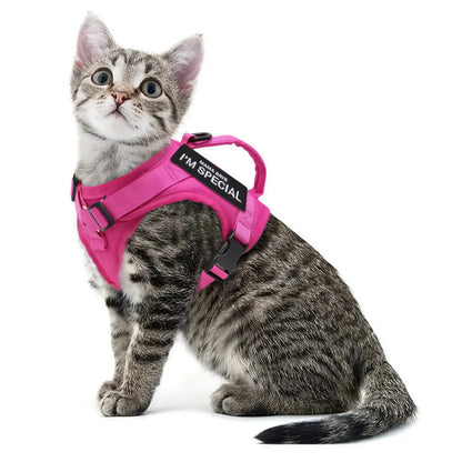 Harnais Chat Militaire Pour toi Mon chat