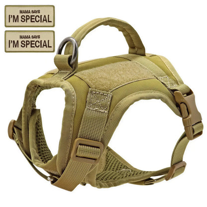 Harnais Chat Militaire Pour toi Mon chat