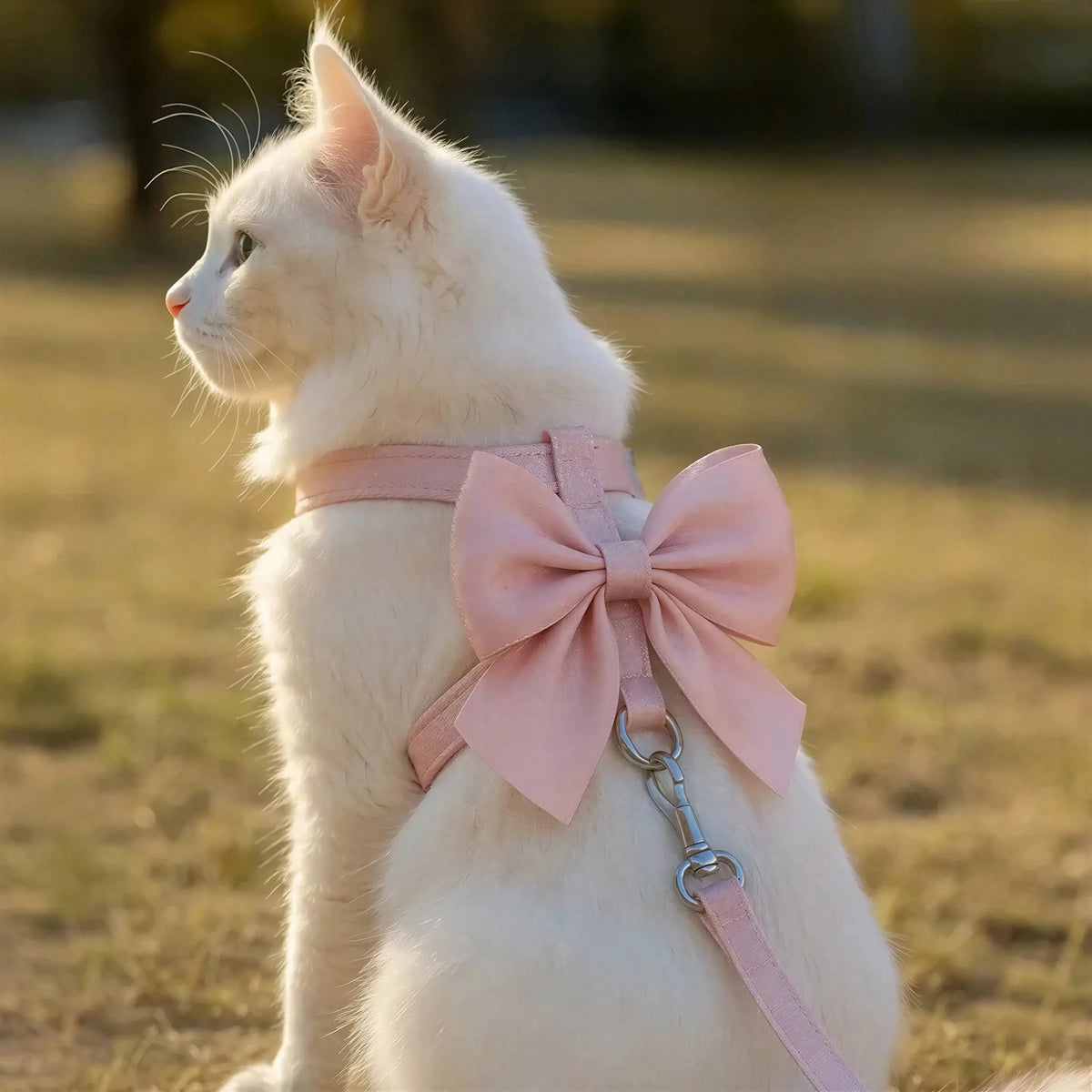 Harnais Chat Noeud Papillon Pour toi Mon chat