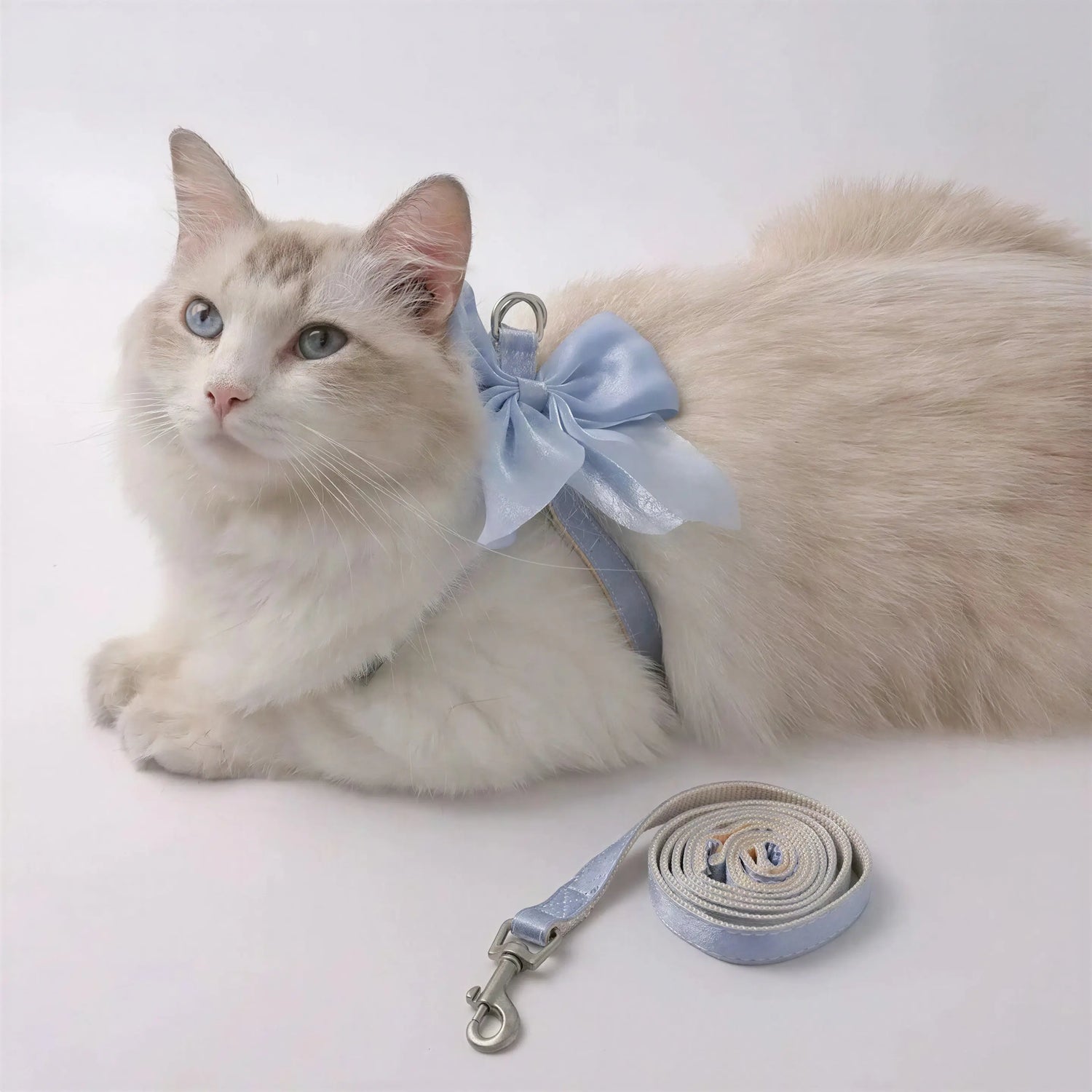 Harnais Chat Noeud Papillon Pour toi Mon chat