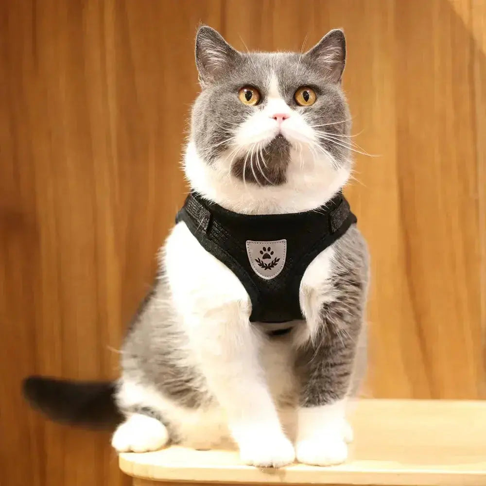 Harnais Chat avec Bande Réfléchissante Pour toi Mon chat