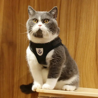 Harnais Chat avec Bande Réfléchissante Pour toi Mon chat