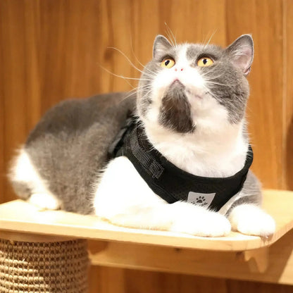 Harnais Chat avec Bande Réfléchissante Pour toi Mon chat