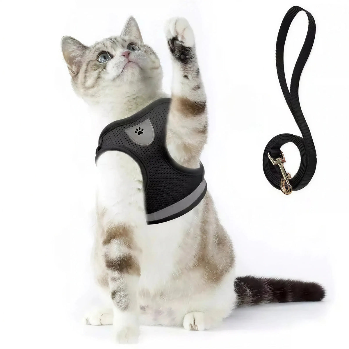 Harnais Chaton Respirant et Réfléchissant avec Laisse en Nylon Pour toi Mon chat