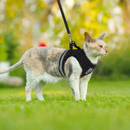 Harnais Chaton Respirant et Réfléchissant avec Laisse en Nylon Pour toi Mon chat