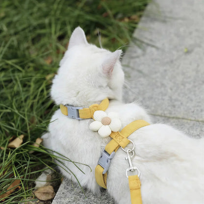 Harnais et Laisse Fantaisie pour Chat Pour toi Mon chat