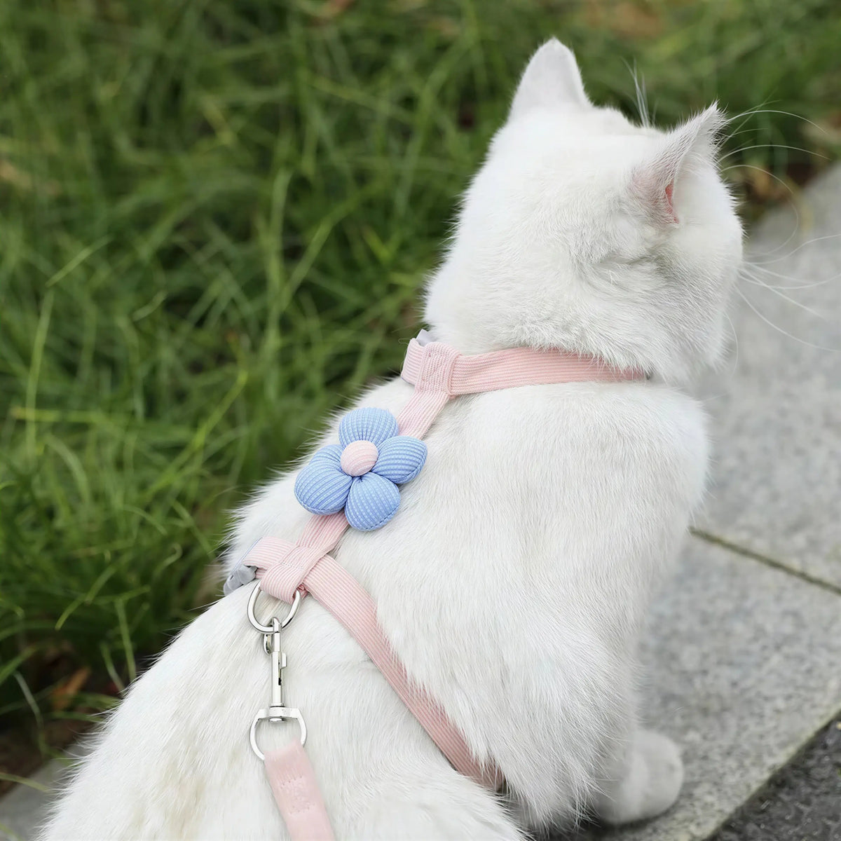 Harnais et Laisse Fantaisie pour Chat Pour toi Mon chat