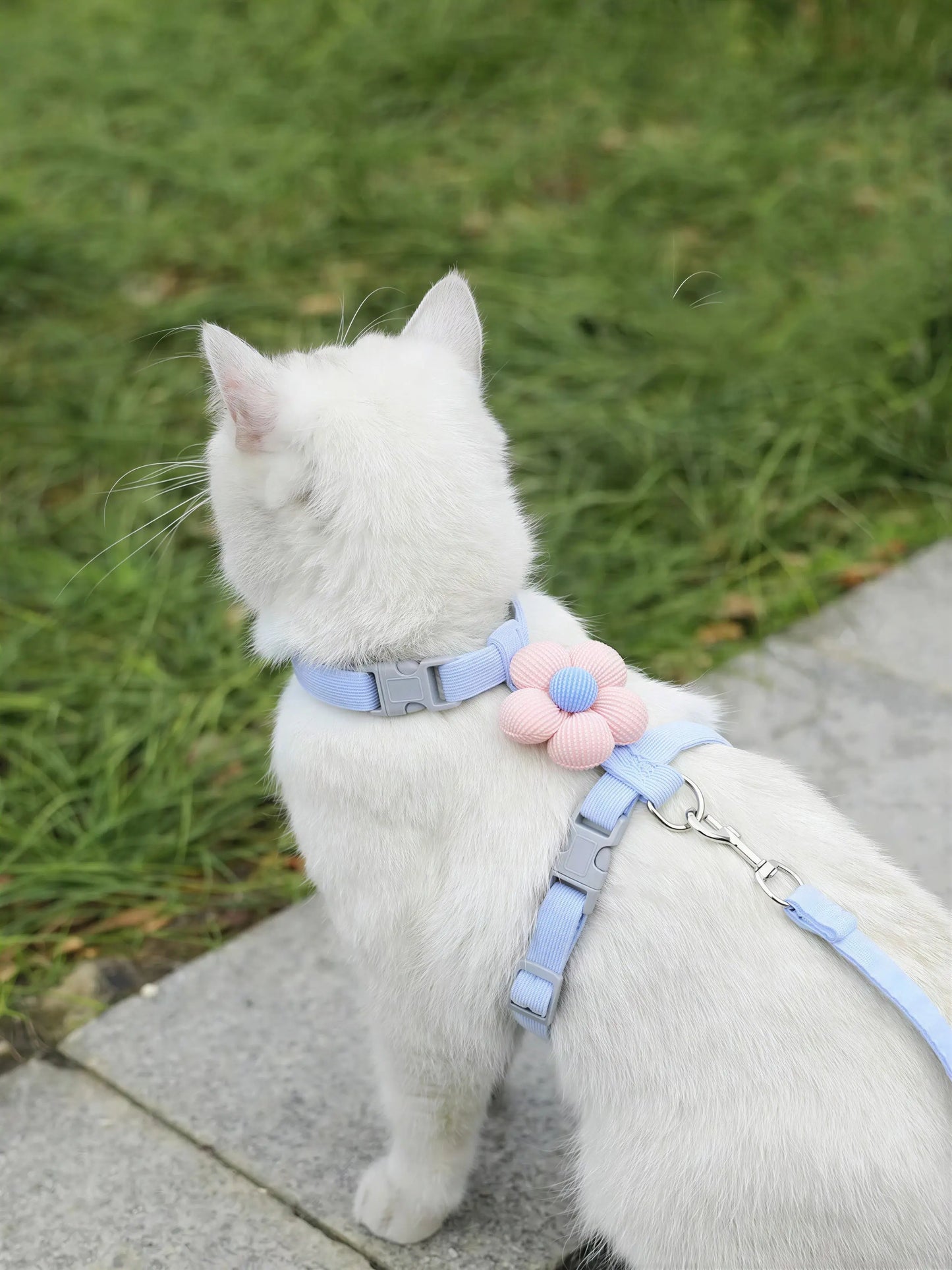 Harnais et Laisse Fantaisie pour Chat Pour toi Mon chat