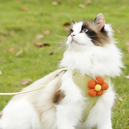 Harnais et Laisse Fantaisie pour Chat Pour toi Mon chat