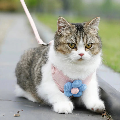 Harnais et Laisse Fantaisie pour Chat Pour toi Mon chat