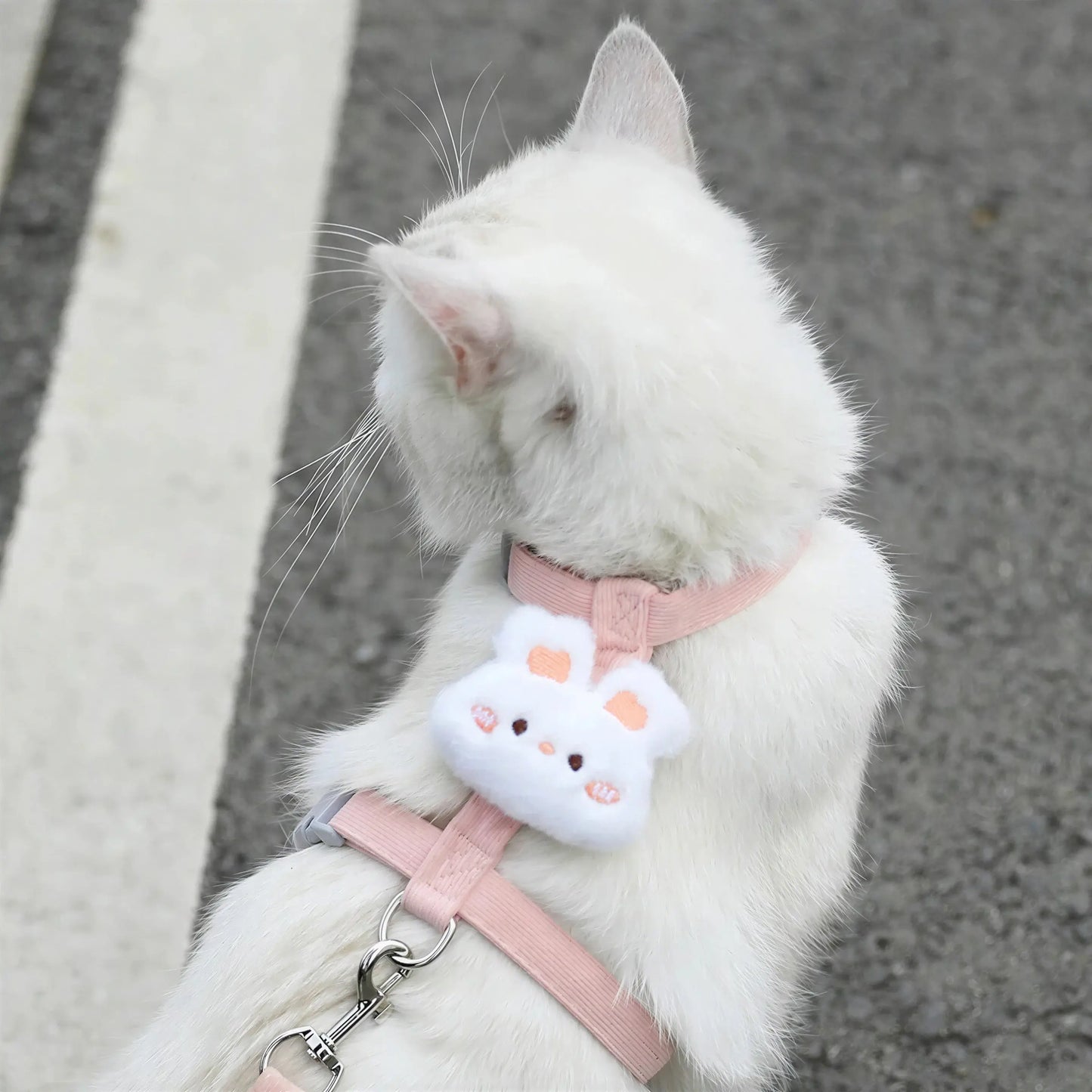 Harnais et Laisse Fantaisie pour Chat Pour toi Mon chat