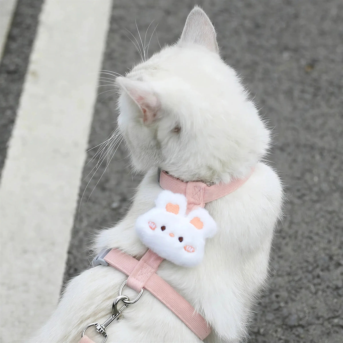 Harnais et Laisse Fantaisie pour Chat Pour toi Mon chat