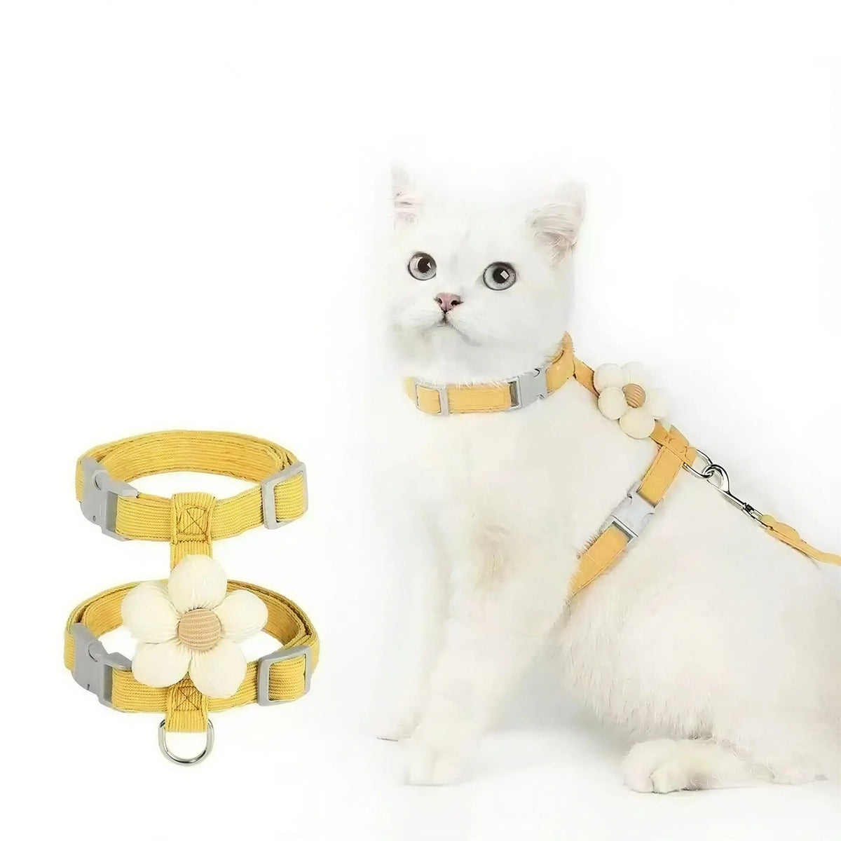 Harnais et Laisse Fantaisie pour Chat Pour toi Mon chat