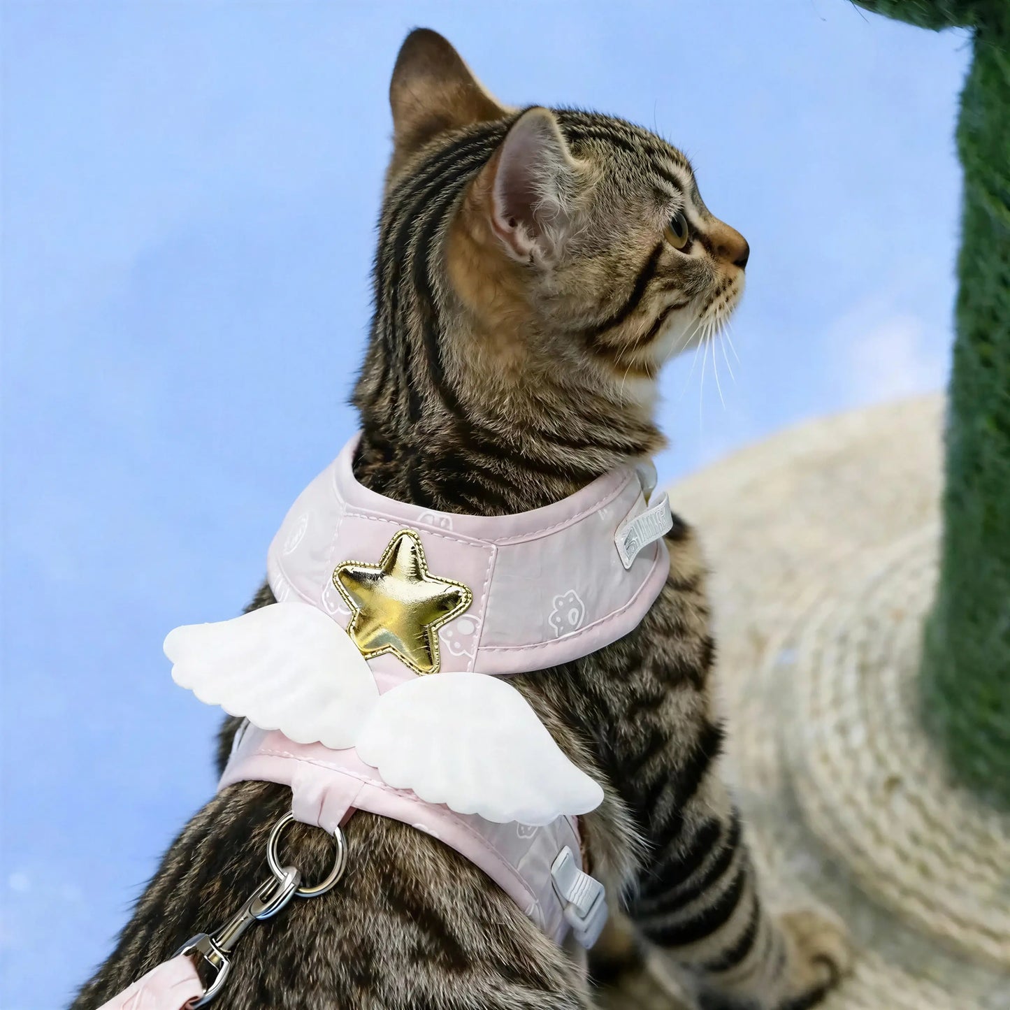 Harnais pour Chat Aile d'Ange Pour toi Mon chat