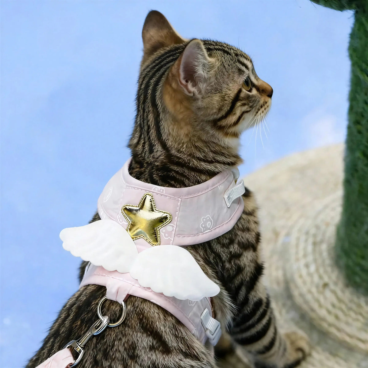 Harnais pour Chat Aile d'Ange Pour toi Mon chat