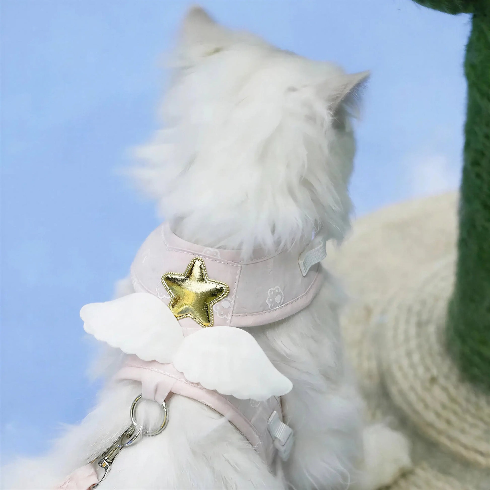 Harnais pour Chat Aile d'Ange Pour toi Mon chat