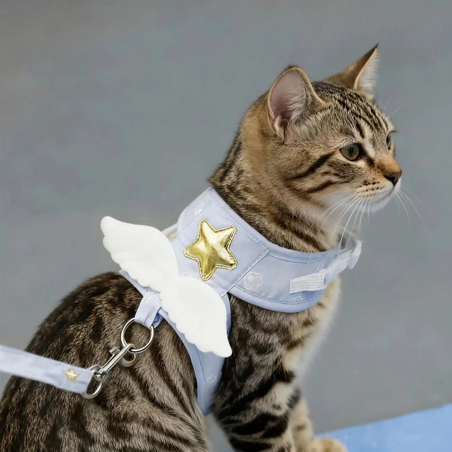 Harnais pour Chat Aile d'Ange Pour toi Mon chat