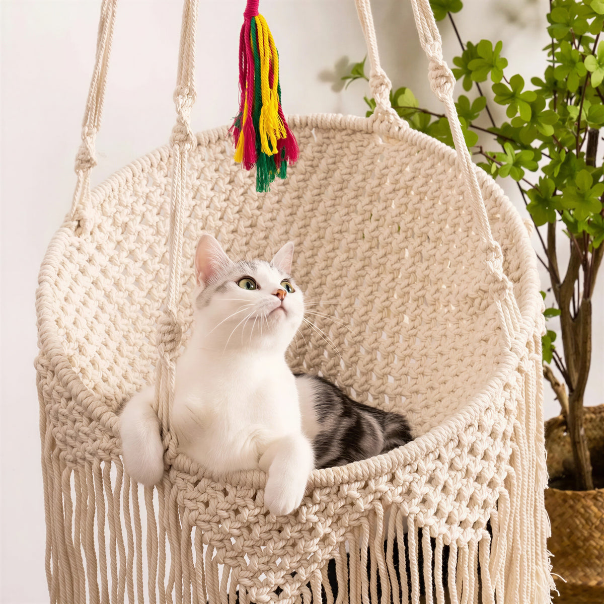 Hamac Pour Chat Rond Tissé À La Main Avec Des Franges - vue 4