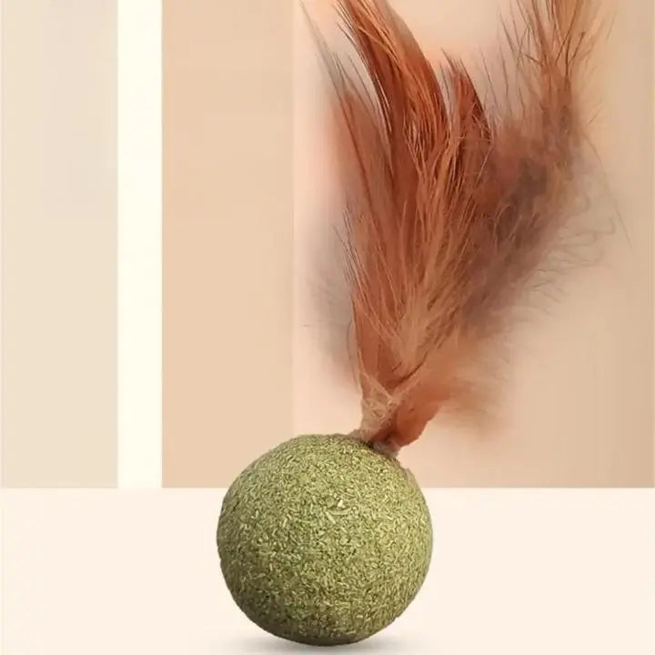 Herbe à Chat Ronde avec une Plume