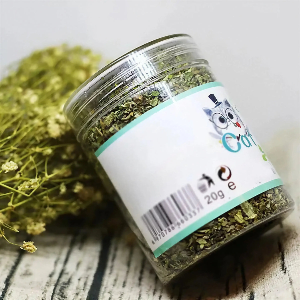 Herbe à Chat Verte en Pot Goût Menthe Pour toi Mon chat