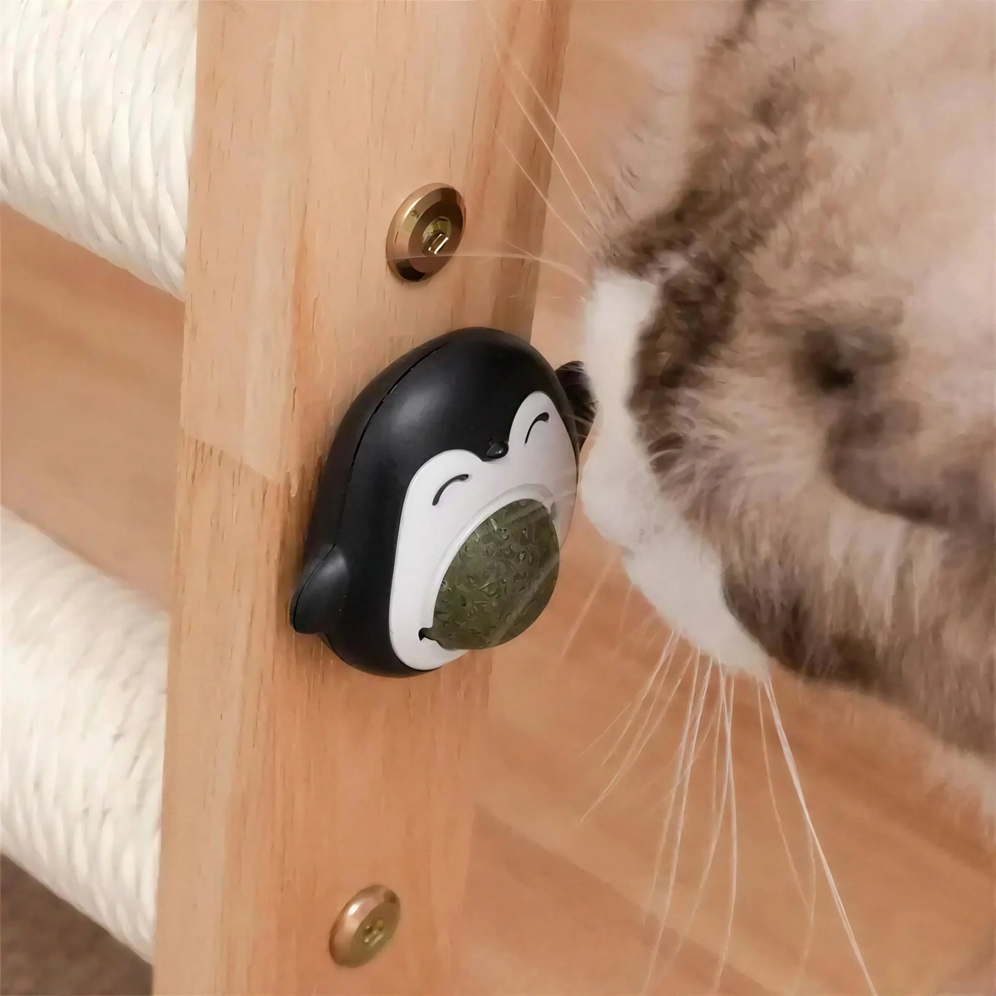 Herbe à Chat dans un Jouet en Forme de Pingouin Pour toi Mon chat