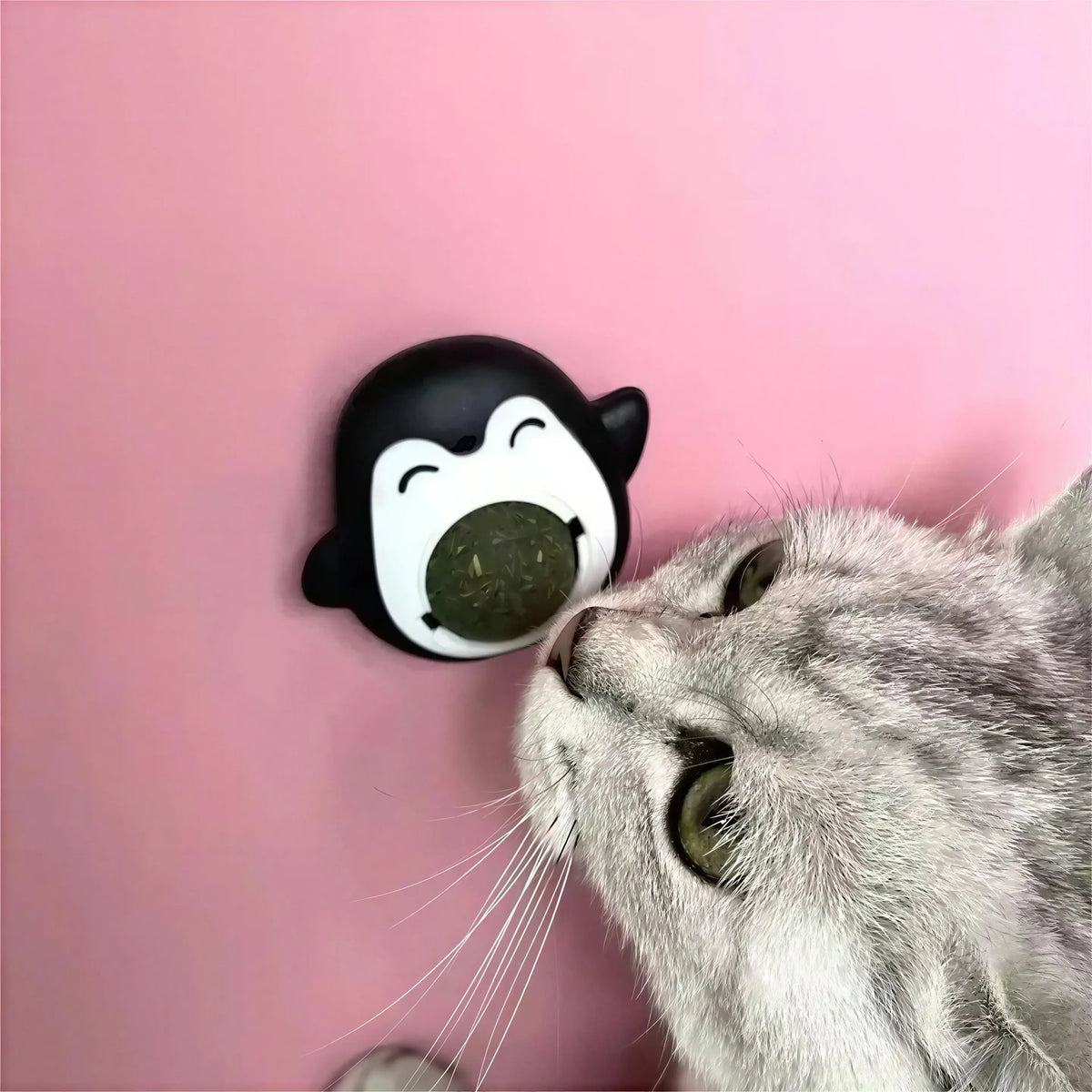 Herbe à Chat dans un Jouet en Forme de Pingouin Pour toi Mon chat