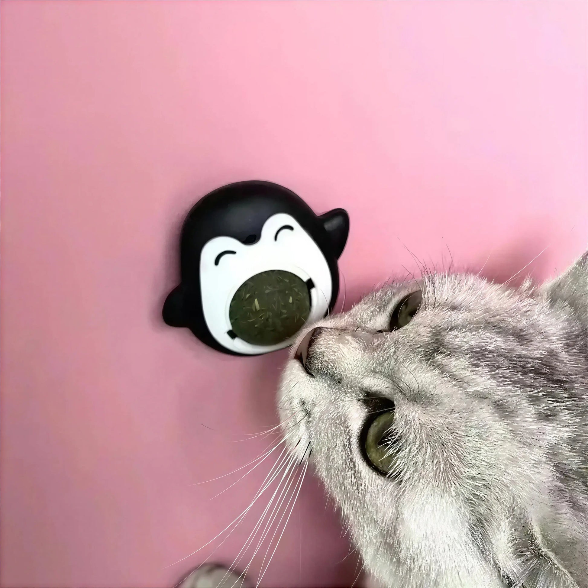 Herbe à Chat dans un Jouet en Forme de Pingouin Pour toi Mon chat