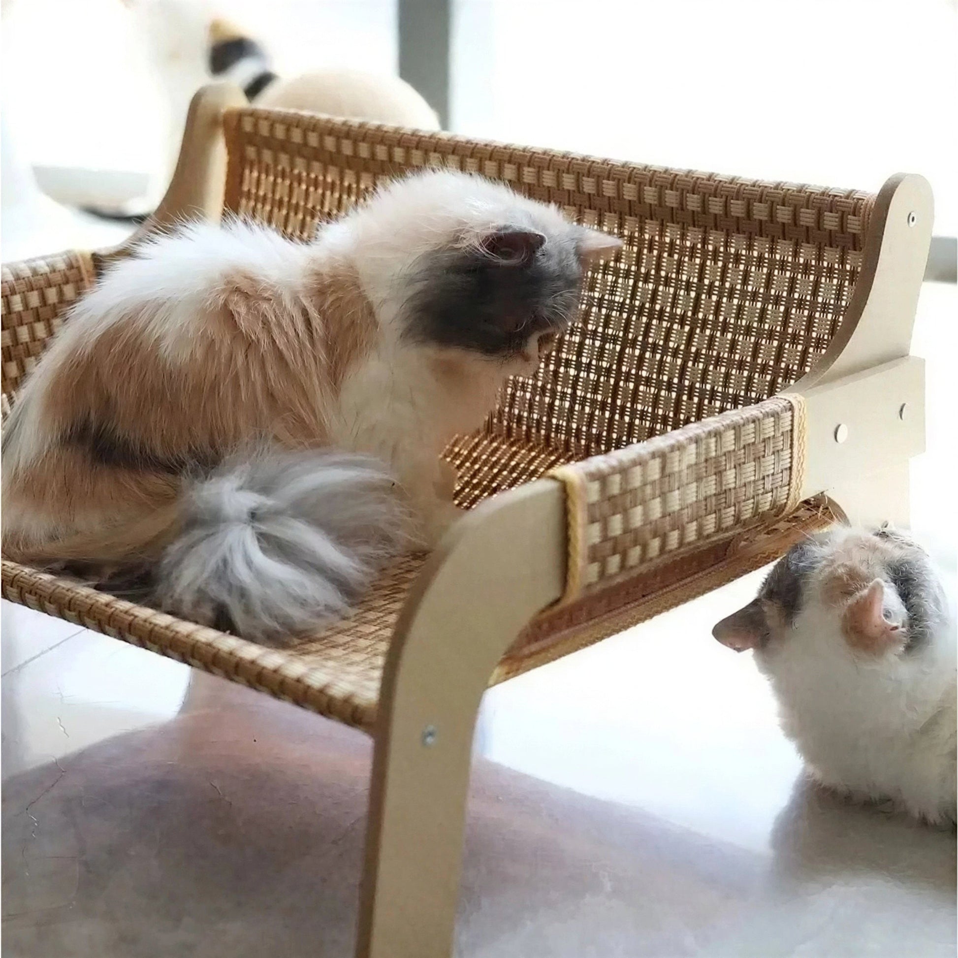 Lit pour Chat au Design de Chaise Pour toi Mon chat