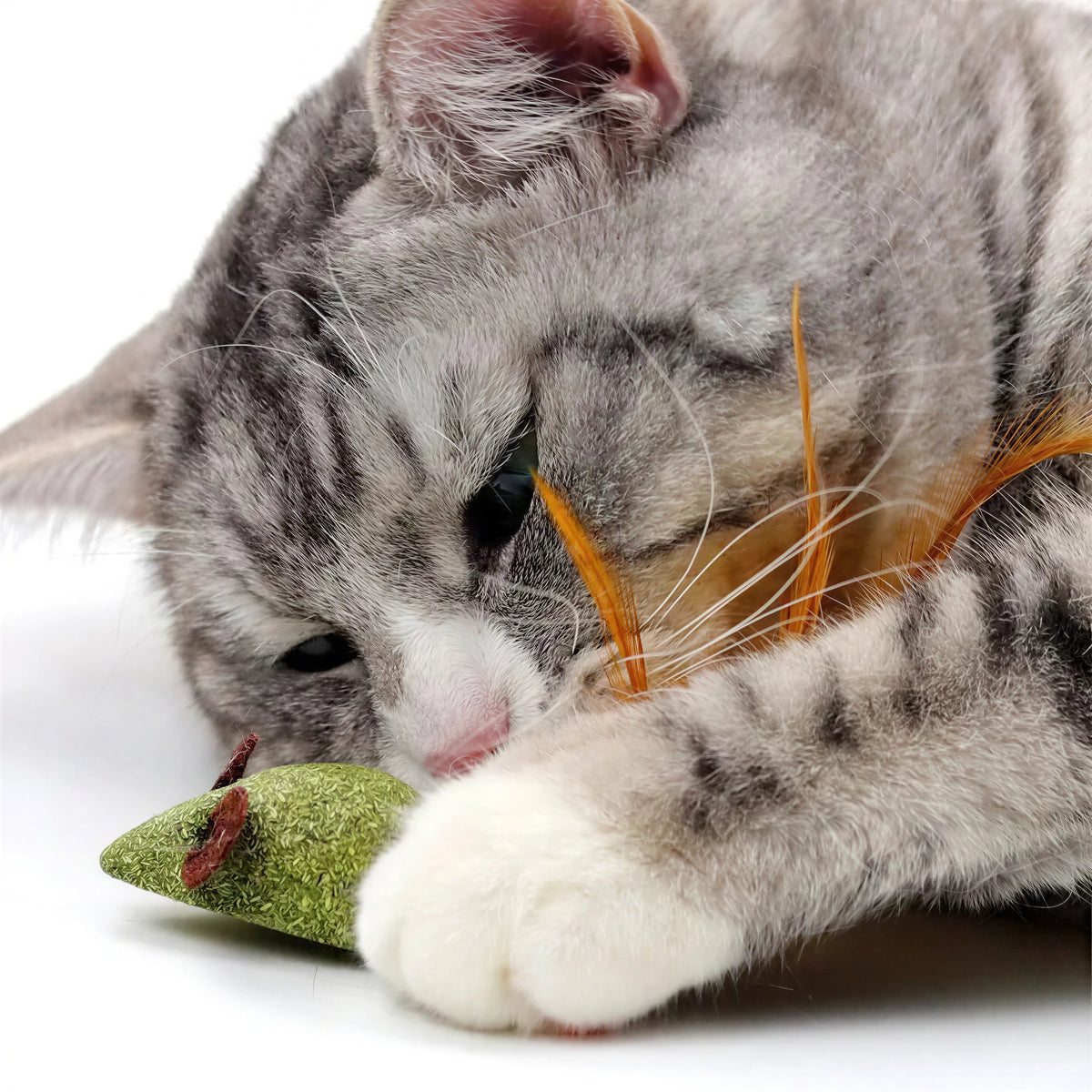 Herbe à Chat en Forme de Souris avec une Plume - vue 3